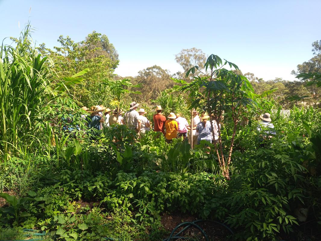 Workshop group
