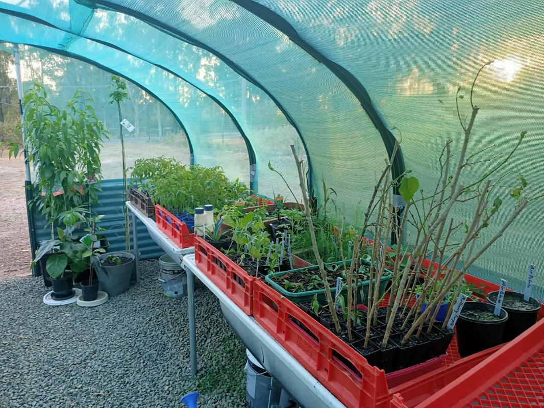 Nursery