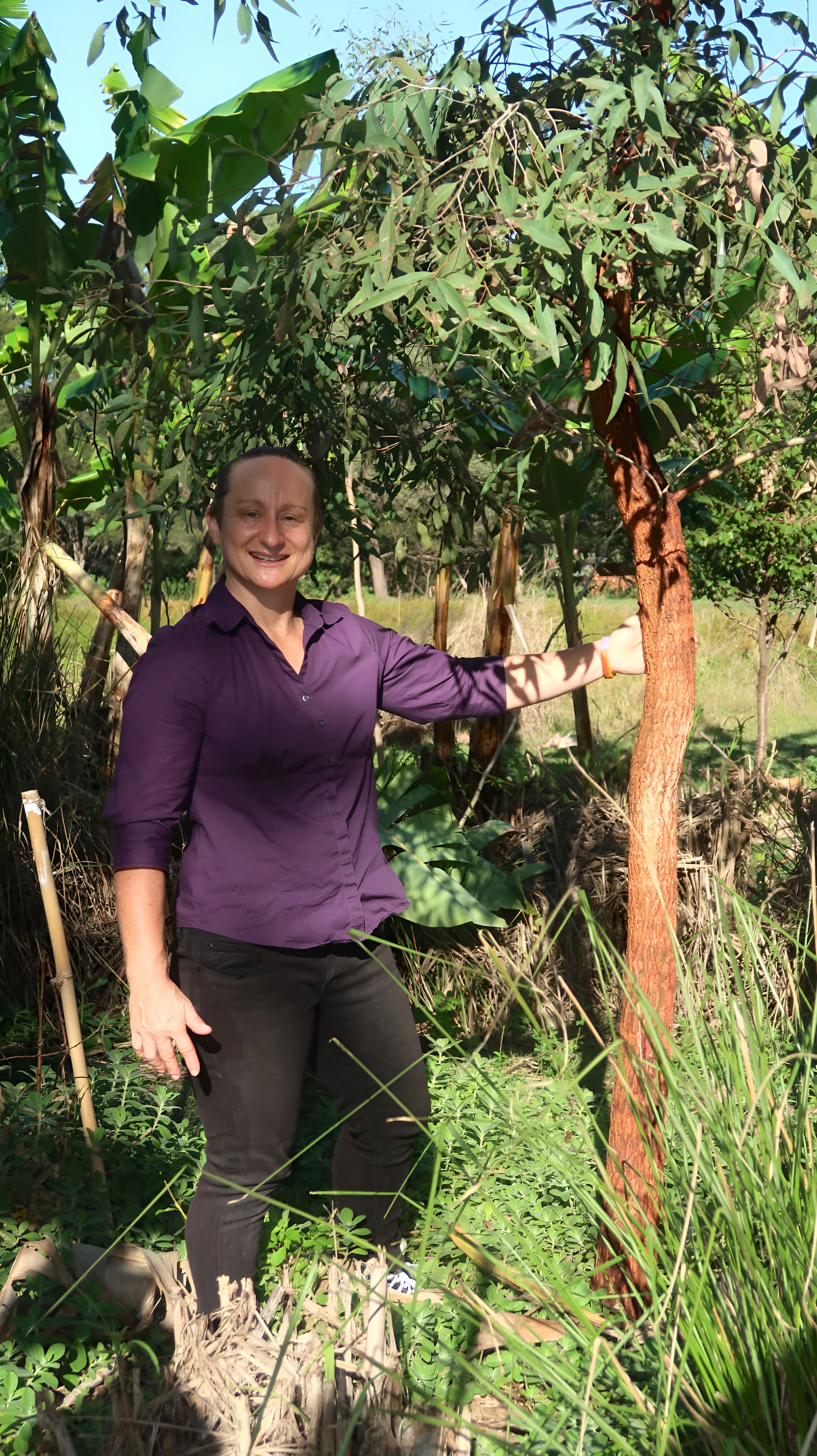 Thy showing a thriving fruit tree at the Nourished Landscapes food forest, Jimboomba QLD