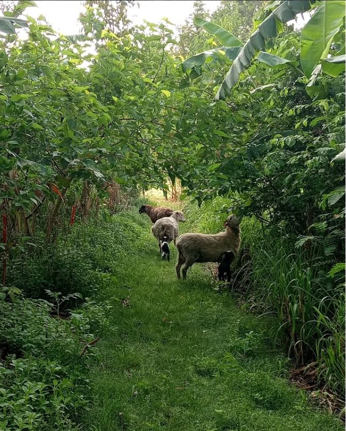 Nourished Landscapes on Instagram