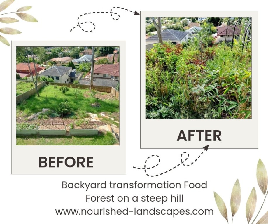 Nourished Landscapes on Instagram