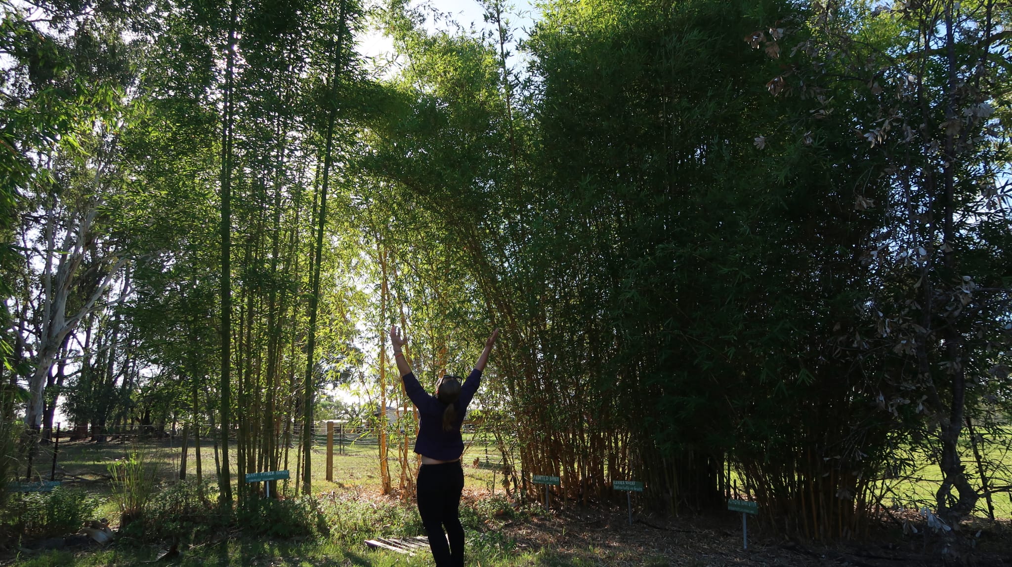 Nourished Landscapes