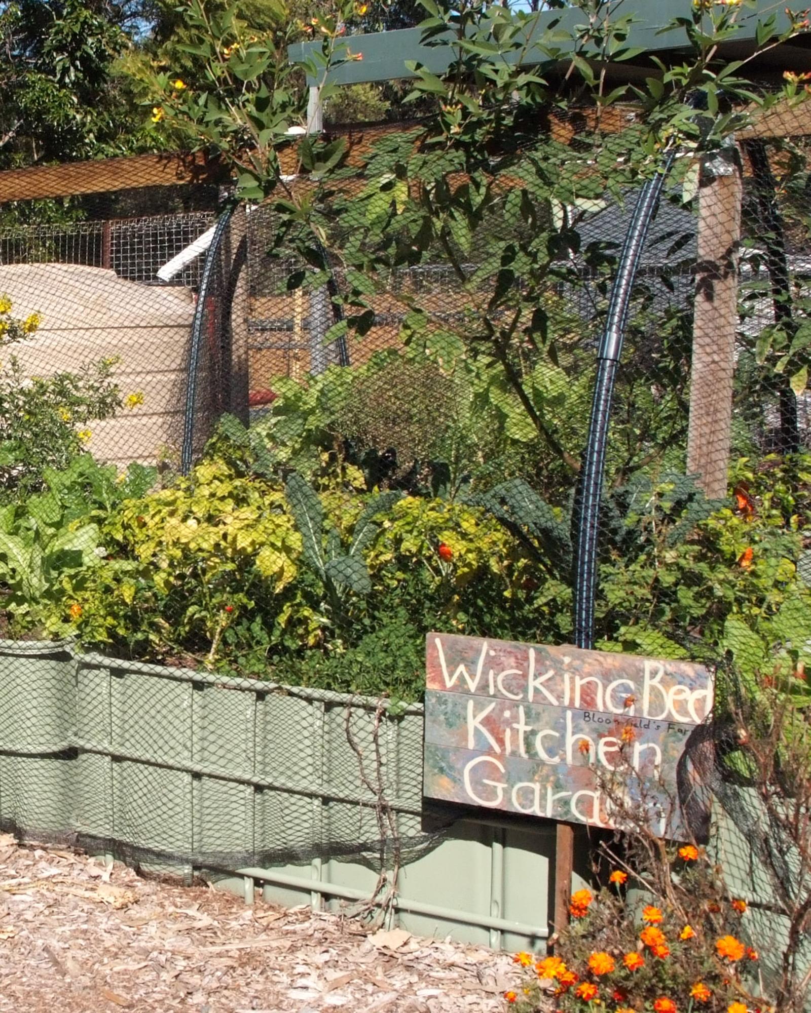 Wicking bed kitchen garden