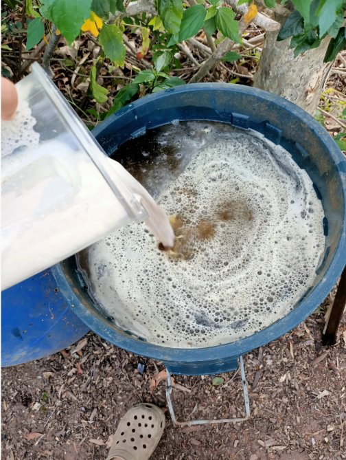 Garden Alchemy — fermentation in a crock pot