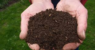 Composting workshop — the mind that thinks of garden gold